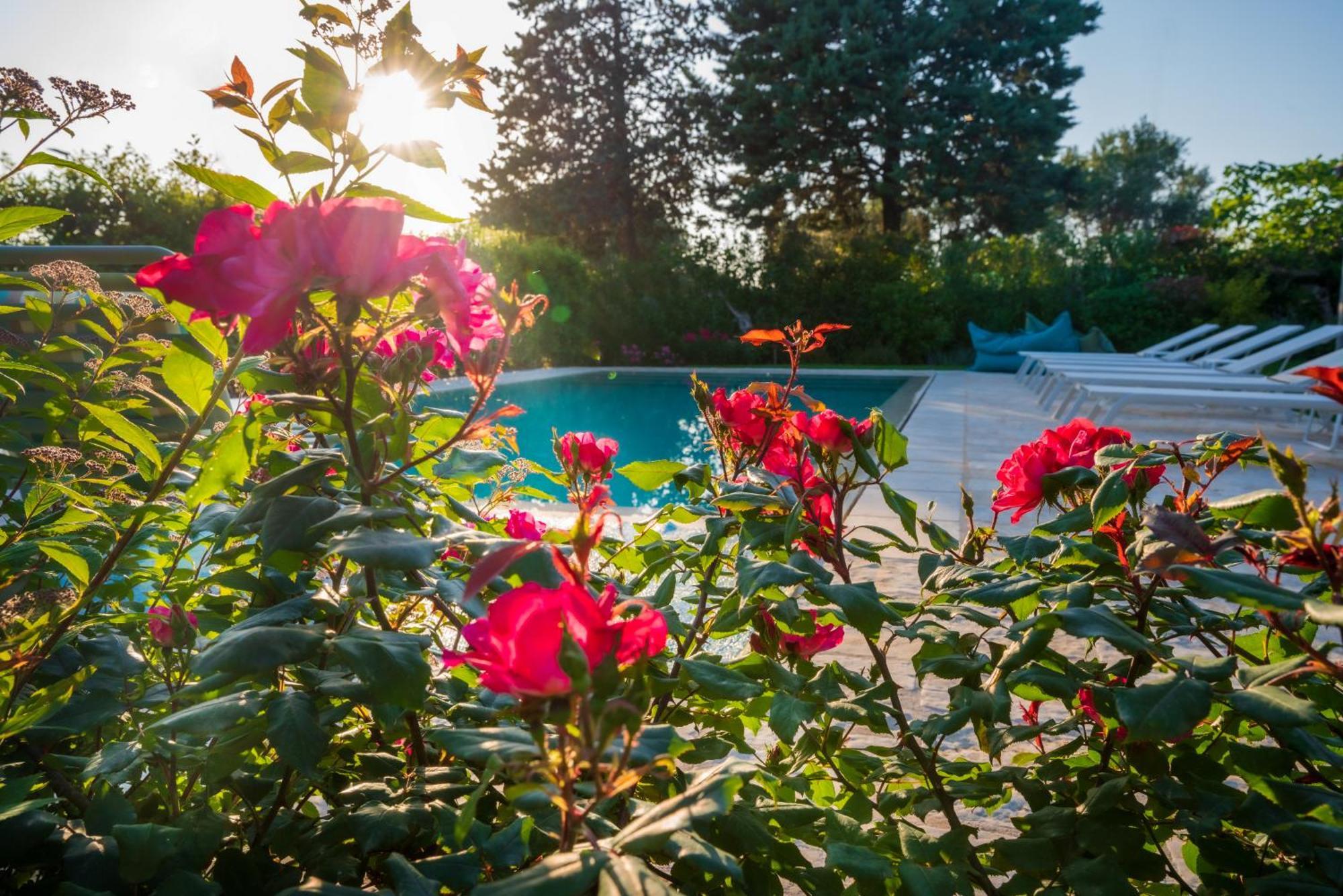 Villa Trullo Amarcord Selva Di Fasano Exterior foto